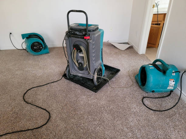 Best Professional water damage repair  in West Carrollton, OH