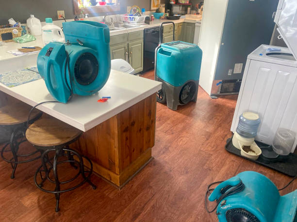 Best Carpet water damage restoration  in West Carrollton, OH