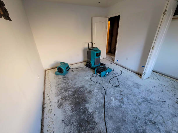 Best Commercial water damage restoration  in West Carrollton, OH