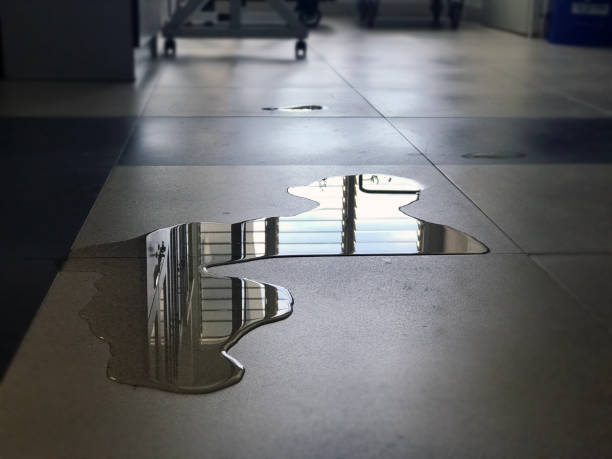 Best 24-hour water damage restoration  in West Carrollton, OH
