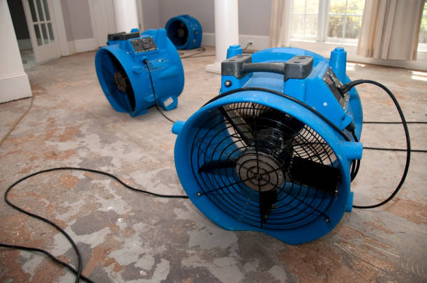 Best Water damage cleanup near me  in West Carrollton, OH
