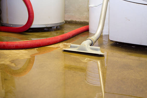 Best Basement water damage restoration  in West Carrollton, OH