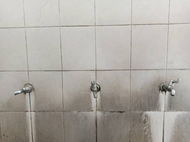  West Carrollton, OH Water damage restoration Pros