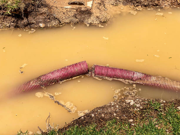 Best Flood restoration services  in West Carrollton, OH