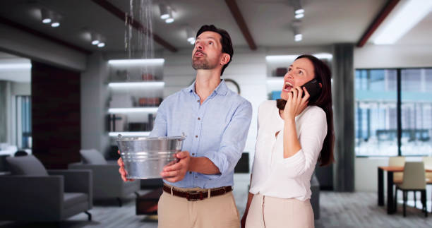 Best 24/7 water damage repair  in West Carrollton, OH