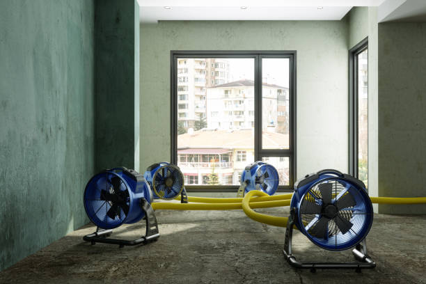 Best Water damage restoration near me  in West Carrollton, OH