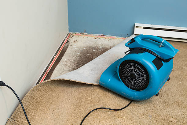 Best Water damage restoration near me  in West Carrollton, OH
